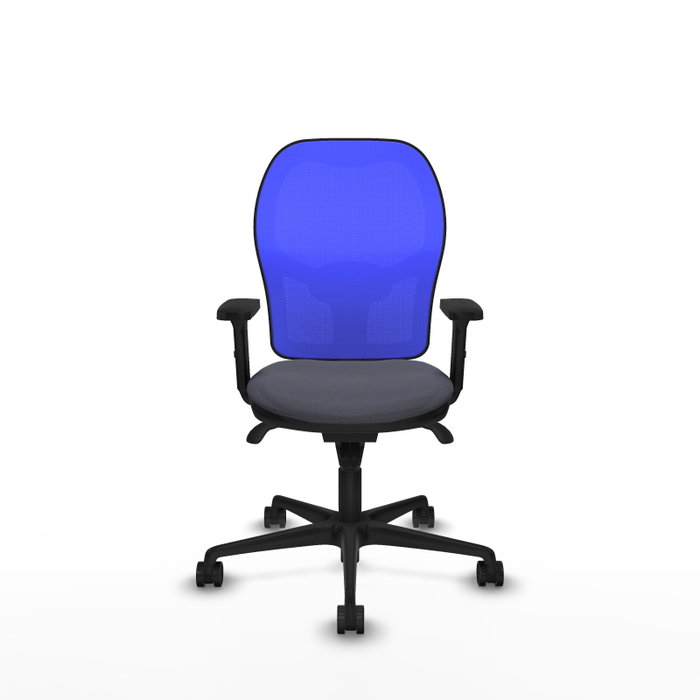 PIQUERAS Y CRESPO Silla de oficina Jorquera con mecanismo Sincro, Gris oscuro y Azul PIQUERAS Y CRESPO Silla de oficina Jorquera con mecanismo Sincro, Gris oscuro y Azul