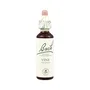 BACH Vine (Vid) 20 ml