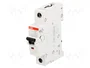 ABB S201M-C25 Interruptor magnetotérmico 25A 1 Polo 10kA