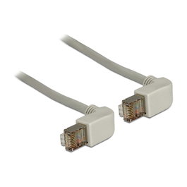 DeLOCK Cable de red Cat.5e SFTP 1 m con conector angulado gris