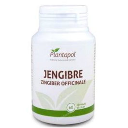 PLANTAPOL Jengibre 600Mg 60 Cápsulas