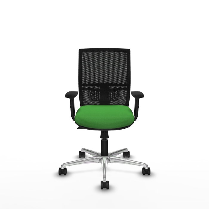 PIQUERAS Y CRESPO Silla de oficina Yunquera con mecanismo Sincro/Traslack, Verde y Negro PIQUERAS Y CRESPO Silla de oficina Yunquera con mecanismo Sincro/Traslack, Verde y Negro