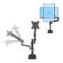 StarTech.com ARMPIVOT2 Soporte de Escritorio para Monitor de hasta 40 pulgadas, Negro