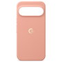 Google Pixel 11 Pro XL Case Canyon PKK4 5B05