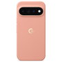 Google Pixel 11 Pro XL Case Canyon PKK4 5B05