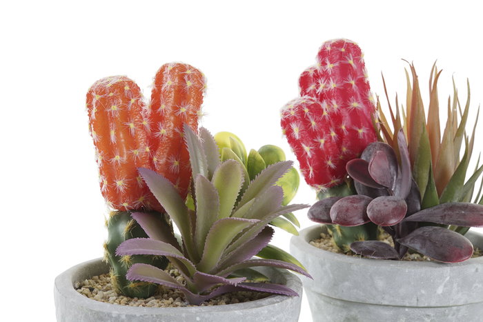 DKD Home Decor Planta PE EVA Surtida en Naranja, Rojo y Gris