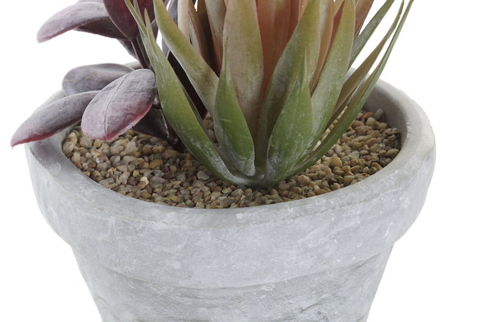 DKD Home Decor Planta PE EVA Surtida en Naranja, Rojo y Gris