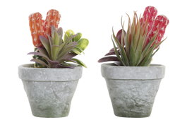 DKD Home Decor Planta PE EVA Surtida en Naranja, Rojo y Gris