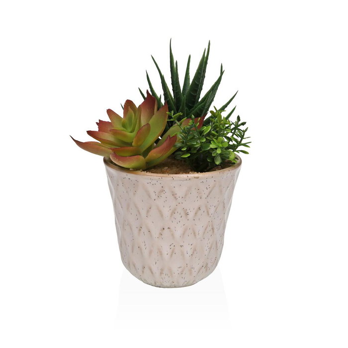 Planta Decorativa Versa Cerámica Plástico Fusion Suculenta 7,8 X 14 X 7,8 CM Planta Decorativa Versa Cerámica Plástico Fusion Suculenta 7,8 X 14 X 7,8 CM