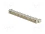 HARTING Conector de datos DIN 41612, 32 pines, macho, recto, THT