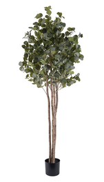 DKD Home Decor Árbol de Poliéster y Madera Eucalyptus Verde