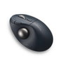 Kensington Pro Fit Ergo TB550 Trackball Inalámbrico Negro/Gris