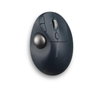 Kensington Pro Fit Ergo TB550 Trackball Inalámbrico Negro/Gris