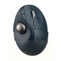 Kensington Pro Fit Ergo TB550 Trackball Inalámbrico Negro/Gris
