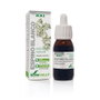 Soria Natural Extracto Espino Blanco Fórmula XXI 50 ml