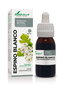 Soria Natural Extracto Espino Blanco Fórmula XXI 50 ml