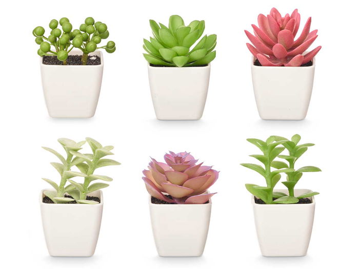 IBERGARDEN Maceta Cuadrada Pequeña Surtida 5x10x5 cm Plástico Verde, Blanco, Morado, Rosa (Set de 48)