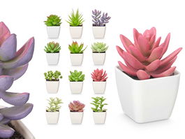 IBERGARDEN Maceta Cuadrada Pequeña Surtida 5x10x5 cm Plástico Verde, Blanco, Morado, Rosa (Set de 48)