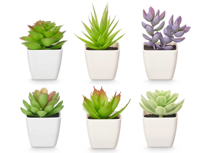 IBERGARDEN Maceta Cuadrada Pequeña Surtida 5x10x5 cm Plástico Verde, Blanco, Morado, Rosa (Set de 48)