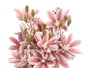 Ibergarden Vara 5 Ramas 20 Flores Rosa Envejecido 55 cm (Set de 12)