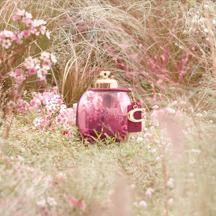 Coach Perfume EDP Coach Wild Rose para Mujer, Fragancia Floral, 50 ml