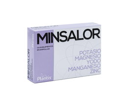 Minsalor