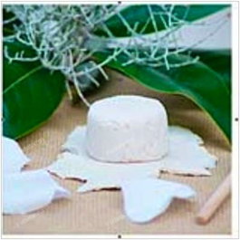 NITX Champu Solido Nutritivo 85Gr. para Cabello Seco y Apagado