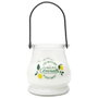 Home Deco Factory Vela Citronela Cambio Color