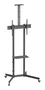 Aisens Soporte de Suelo Eco con Ruedas FT70TE-335 para TV 37-70 pulgadas