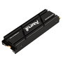 Kingston FURY Renegade 2 TB M.2 2280 PCIe 4.0 NVMe SSD con Disipador