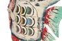 DKD Home Decor Decoración Metal Blanco 17x6x15 cm