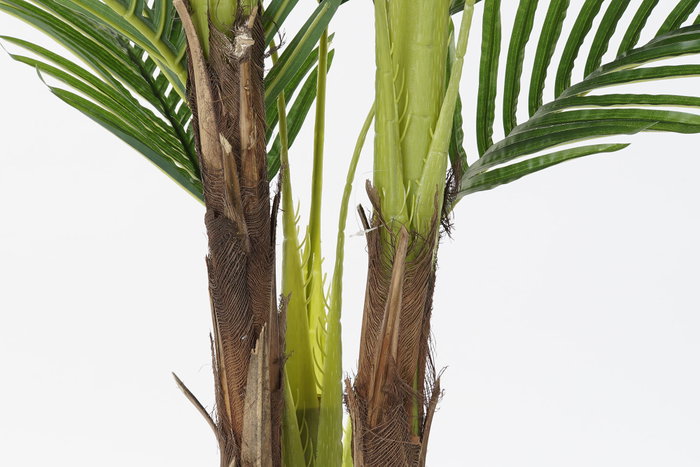 DKD Home Decor Palmera Verde y Marrón 80x80x210 cm DKD Home Decor Palmera Verde y Marrón 80x80x210 cm
