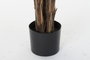 DKD Home Decor Palmera Verde y Marrón 80x80x210 cm