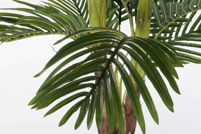 DKD Home Decor Palmera Verde y Marrón 80x80x210 cm DKD Home Decor Palmera Verde y Marrón 80x80x210 cm