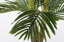 DKD Home Decor Palmera Verde y Marrón 80x80x210 cm