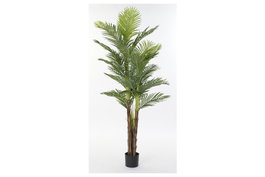 DKD Home Decor Palmera Verde y Marrón 80x80x210 cm