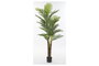 DKD Home Decor Palmera Verde y Marrón 80x80x210 cm