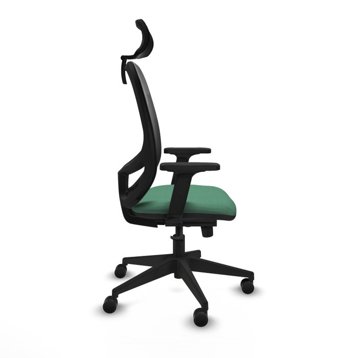 PIQUERAS Y CRESPO Silla de oficina Cilanco con mecanismo Sincro, Verde esmeralda y Negro PIQUERAS Y CRESPO Silla de oficina Cilanco con mecanismo Sincro, Verde esmeralda y Negro