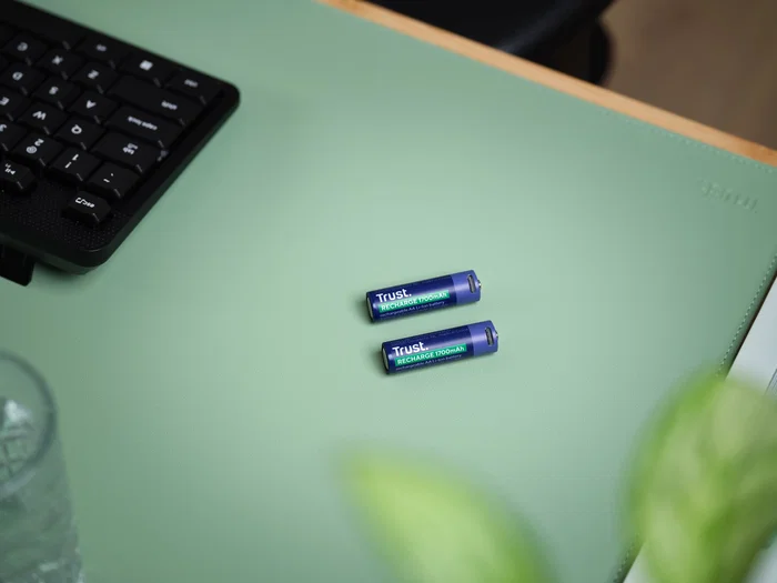Trust Batería Recargable AA 1700 mAh con Carga USB-C, Pack de 2 Unidades, 800 Ciclos, Indicador Luz, Referencia 25584