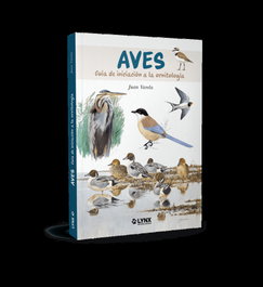 Aves, LYNX - LYNX
