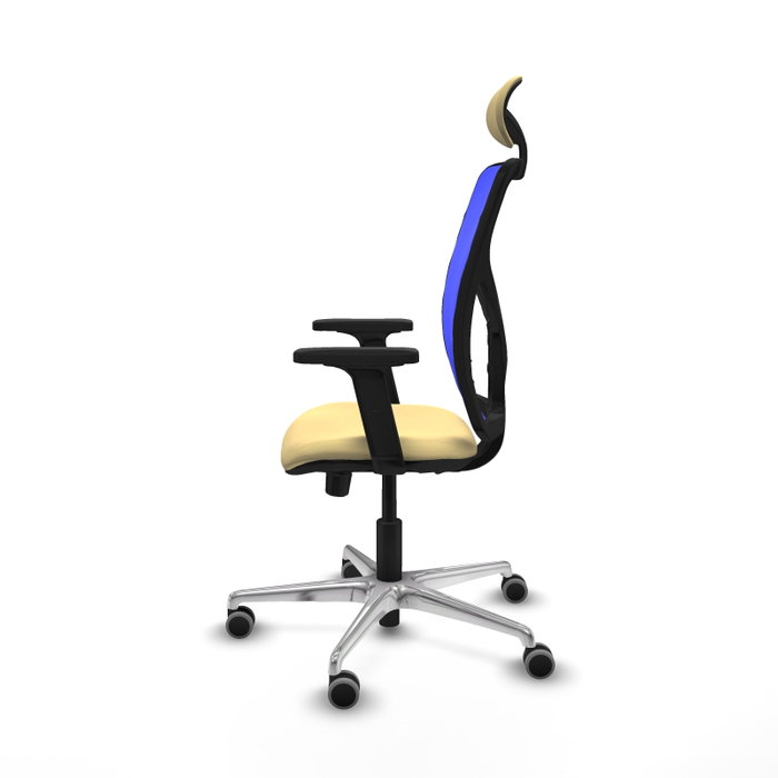 PIQUERAS Y CRESPO Silla de oficina Motilla con mecanismo Sincro/Traslack, Crema y Azul PIQUERAS Y CRESPO Silla de oficina Motilla con mecanismo Sincro/Traslack, Crema y Azul