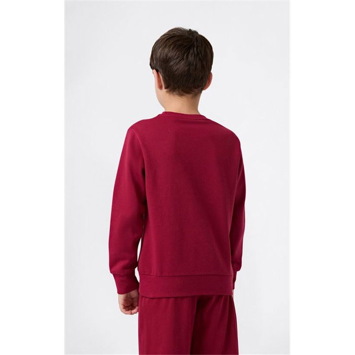 Sudadera sin Capucha Niño Champion Graphic Shop Granate Rojo Oscuro S