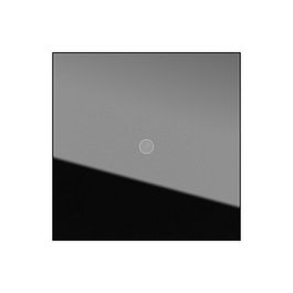 GIRA Módulo de cámara System 106 2-Drahtbus Negro