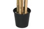 DKD Home Decor Árbol Bambu asiatico Verde Natural PVC Bambú Cemento 40x40x180 cm