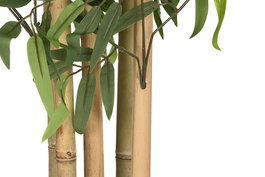 DKD Home Decor Árbol Bambu asiatico Verde Natural PVC Bambú Cemento 40x40x180 cm