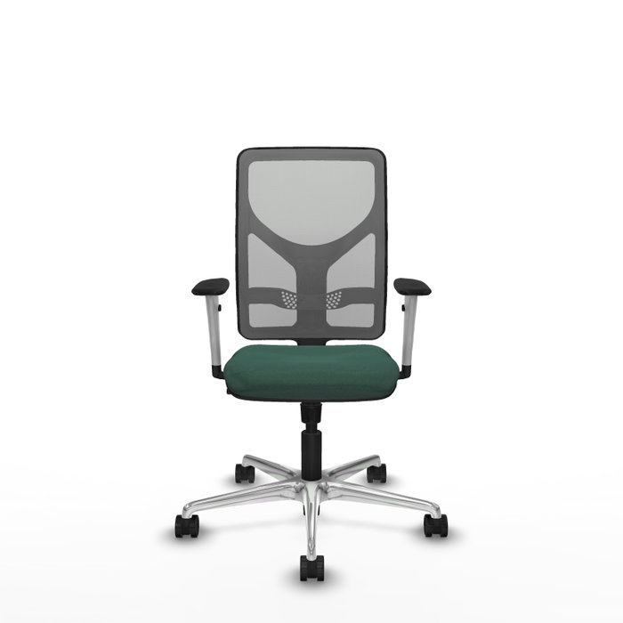 PIQUERAS Y CRESPO Silla de oficina Motilla con mecanismo Sincro, Verde botella y Gris PIQUERAS Y CRESPO Silla de oficina Motilla con mecanismo Sincro, Verde botella y Gris
