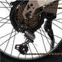 Nilox NXEBX10GR Bicicleta Eléctrica Gris de 20 pulgadas