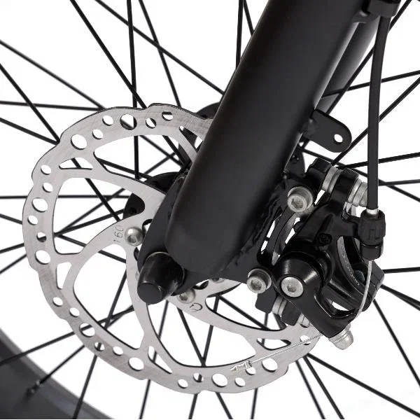 Nilox NXEBX10GR Bicicleta Eléctrica Gris de 20 pulgadas Nilox NXEBX10GR Bicicleta Eléctrica Gris de 20 pulgadas