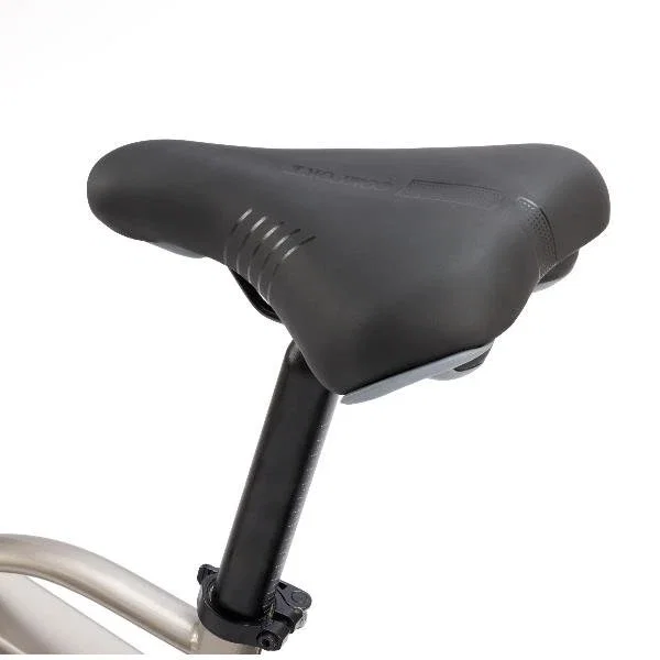 Nilox NXEBX10GR Bicicleta Eléctrica Gris de 20 pulgadas Nilox NXEBX10GR Bicicleta Eléctrica Gris de 20 pulgadas