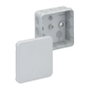 Günther Spelsberg GmbH+Co.KG SPELS Abzw-Kasten leer 2K-12 34491201 gris